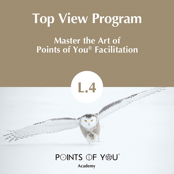 Top View Program L.4 Points of You