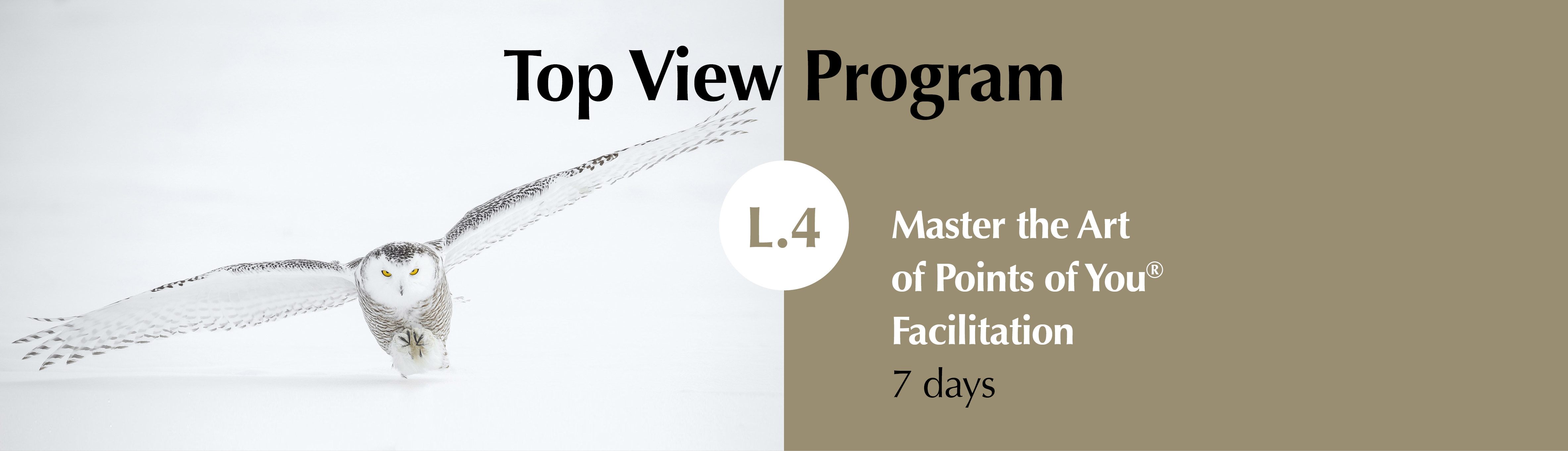 Top View Program Points of You creatividad coachin